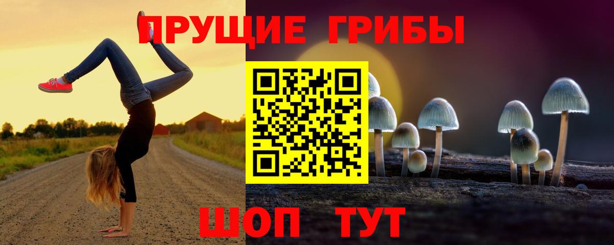 Псилоцибиновые грибы Magic Shrooms Тара